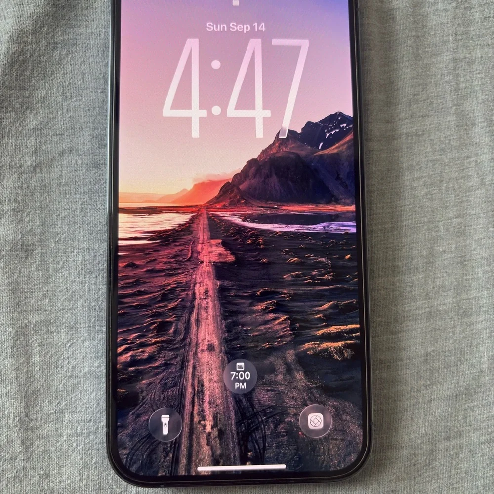 Apple iPhone 13 Pro Max 256GB Blue (Factory Unlocked)